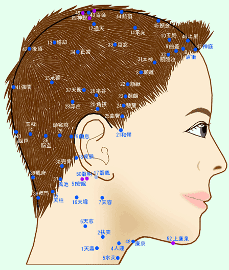 ���E��̃c�{